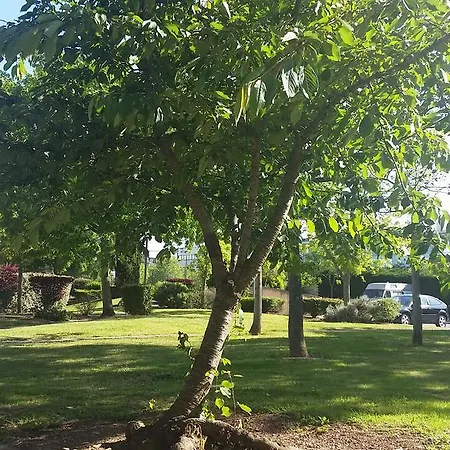 アパート Contemporain Proche Meteo, Cambo, Edf, Airbus & Thales *