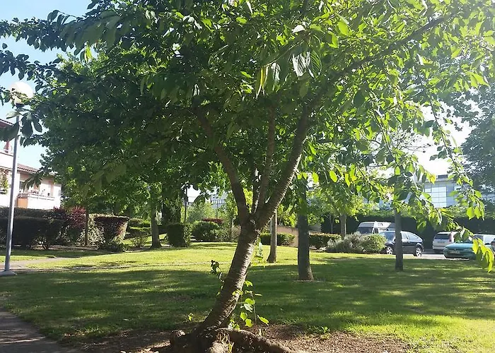 アパート Contemporain Proche Meteo, Cambo, Edf, Airbus & Thales *